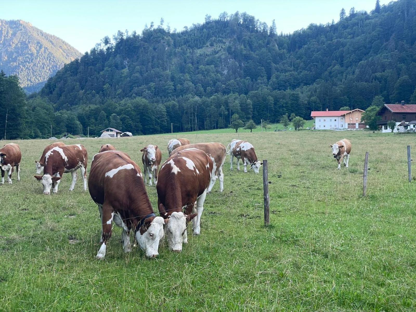 Ferienwohnungen Bergluft Aschau im Chiemgau Exterior photo